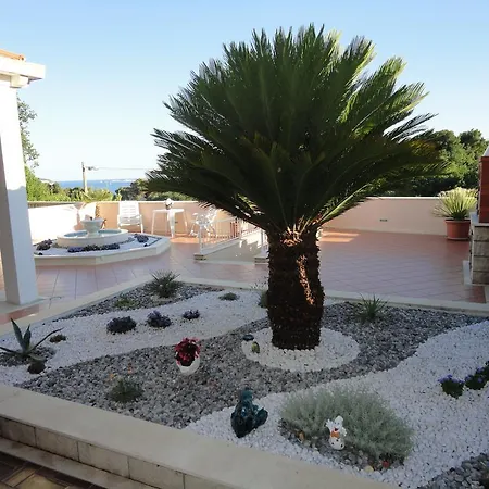 Soko Apartments & Rooms Guest house Zaton (Dubrovnik-Neretva)